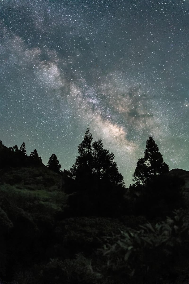 Adventure Night Sky